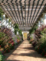 In the colonnade.