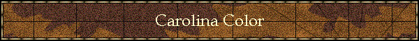 Carolina Color