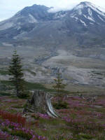 May 2007 (no explosive eruptions in a year): lava extrudes from the crater floor at a rate of a small pickup truck load every two seconds�down from one dump truck load per second in October 2004�and is building a new lava dome.