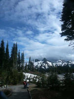 We traversed the 1.2 mile loop trail (200' elevation gain) over slippery snow to see Nisqually Glacier, one of Mount Rainier's most accessible glaciers�yes, Joe & I fell (& fell).